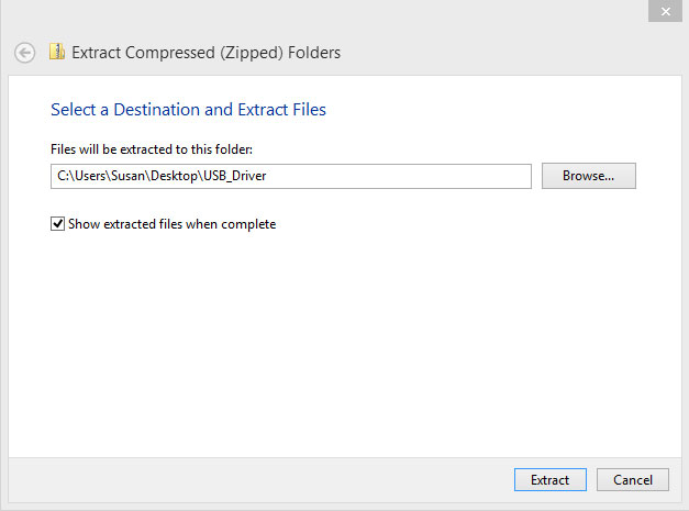 Extracting Files Window